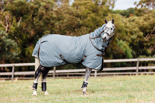 Omik™ Turnout Blanket with Detachable Neck