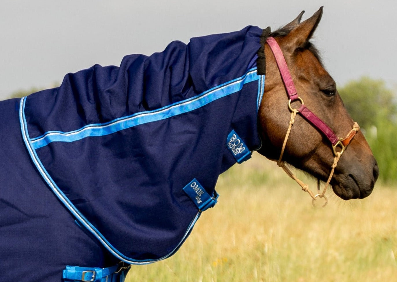 Horse neck cover for Omik Turnout Horse Blanket