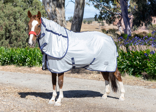 Ziko Fly Sheet - Best Summer Horse Sheets